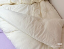南极人A类大豆纤维被子春秋1.5x2米单人被芯冬季棉被加厚保暖被褥空调被 提花皱皱纱-白拼浅绿【大豆填充蓬松舒适】 150x200cm春秋被【约4斤】 实拍图