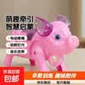 电动牵绳发光音乐小猪玩具 早教抓握思维训练 配电池 实拍图