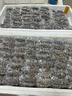 金凯撒迷你鱼油95%~97%高纯度深海软胶囊omega-3成人原装进口60粒*6盒 实拍图