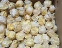 京觅东北姑娘果 3斤装净重 灯笼果黄菇娘洋姑娘果 新鲜水果源头直发 实拍图