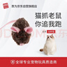 贵为（GiGwi）逗猫玩具发声电动滑动老鼠小猫咪自嗨解闷神器玩具宠物玩具逗猫棒 实拍图