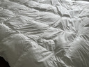 京东京造暖暖90%抗菌羽绒被 冬季被子被芯白鸭绒-冬被1kg填充2*2.3m 实拍图