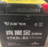 天能电池免维护摩托车电瓶12v5a豪爵125福喜巧格110通用干电池YTX5L 实拍图