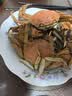 【活蟹】蟹叁钳庄 全母大闸蟹 去绳足重2.8-3.1两 8只鲜活现货螃蟹中秋国庆礼盒 实拍图
