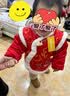 巴拉巴拉童装儿童套装男童女童新中式两件套2026新款春装小棉袄保暖拜年服 实拍图