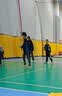 京东京造 全碳羽毛球拍 单拍凝霜 赠球手胶 实拍图