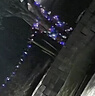 黛莉嘉尔太阳能树灯氛围灯缠绕挂树上装饰满天星led彩灯串灯户外防水灯带 实拍图