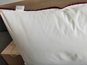水星家纺枕头枕芯酒店枕头护颈枕头芯家用单个纯棉抗菌可水洗中枕48x74cm 实拍图