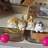 宫廷宝贝趴趴猫桌面摆件生日礼物女 办公奖品纪念品玩偶猫咪手办文创盲盒 4款礼盒套装【热卖TOP】 实拍图