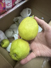 京鲜生 新疆库尔勒香梨 净重8斤 单果100-120g 生鲜水果 礼盒装 实拍图