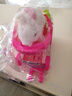 雅斯妮儿童玩具兔子电动宠物会动会叫狗毛绒女孩3-6岁仿真动物生日礼物 实拍图