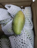 集南鲜 越南青玉芒果 芒果当季大青皮黄皮大芒果新鲜水果整箱 含箱10斤 单果250g起  净重9斤 实拍图