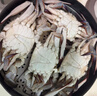 【冷冻】至鲜梭子蟹2.6斤/6-8只整只当季液氮冷冻3-5两/只吕四黄海海鲜螃蟹新鲜 实拍图