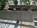 德沃多霍伦种菜花盆大号(黑色)*2家庭育苗盆长方形种植多肉箱阳台种菜箱 实拍图