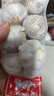 【百万单爆品】紫白皮蒜水果大蒜超市生鲜蔬菜调料即食蒜 大蒜 500g 单果3.5-5cm 实拍图