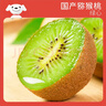 京鲜生陕西徐香绿心猕猴桃奇异果 14-16粒 单果100-130g 生鲜水果礼盒 实拍图