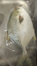 翔泰 海南金鲳鱼净重900g 2条装  年货节鱼类生鲜 火锅食材 海鲜水产  实拍图