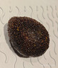 京地达秘鲁牛油果进口鳄梨单果130g*2粒非即食京东自营水果源头直发包邮 实拍图