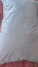 京东京造 缦云白金五星酒店枕95%白鹅绒枕A类抗菌防螨羽绒枕 单只 实拍图