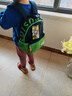 Edison爱迪生幼儿园书包学前班小学生儿童户外研学旅游出行小背包L02-2s 实拍图