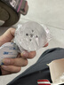 飞球（Fly.Globe）门吸免打孔304不锈钢门阻防撞门吸门碰墙地吸 实拍图
