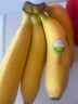 黄胖子进口香蕉650g 实拍图