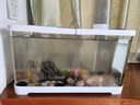 阔庭（KUOTING）鱼缸桌面透明生态鱼缸客厅水族箱白色 实拍图