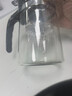 飘逸壶泡茶壶耐热高温玻璃沏茶过滤内胆冲茶器家用茶具套装 飘逸杯500mL1个 实拍图
