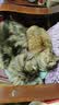 优瑞派猫粮幼猫成猫美短英短蓝猫布偶加菲猫专用流浪猫全价猫粮鱼肉味 经典猫粮鱼肉味20斤丨送猫粮1斤 实拍图