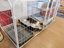 腆宠狗围栏狗栅栏室内宠物围栏狗笼子大型犬中型犬小型犬狗窝猫咪护栏 实拍图