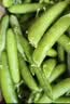 新鲜甜豌豆农家自种新鲜蔬菜豆角豆米现摘现发豌豆荚 净重9斤 实拍图