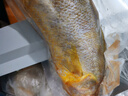 1号会员店 冷冻深海野化三去黄花鱼 宁德大黄鱼800g/2条装盒装 海鱼 年货节 实拍图