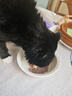 伟嘉主食猫罐头软包 猫主食餐包湿粮 进口成猫妙鲜包85g*12金枪鱼味 实拍图