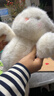 名创优品（MINISO）塔妮兔乖乖坐姿公仔兔子毛绒玩具儿童玩偶抱枕娃娃送礼生日礼物 实拍图