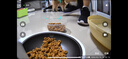 小佩宠物AI智能自动喂食器可视版 定时定量 视频监控(支持鸿蒙智联) 实拍图