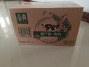伊利【新鲜日期】金典纯牛奶早餐奶整箱250ml*16盒 3.6g乳蛋白 礼盒装 实拍图