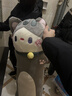 槿木花开猫咪玩偶抱枕睡觉毛绒玩具公仔抱睡长条枕夹腿大娃娃女生可拆洗 灰色猫 110厘米（独立内胆可拆洗） 实拍图