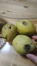 京鲜生 新疆库尔勒香梨 净重10斤 一级 单果100-120g 生鲜水果 实拍图