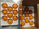 京觅浙江台州涌泉蜜桔 4.5-5斤单果50mm+ 青皮蜜桔 橘子水果 源头直发 实拍图