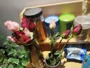 花艺湾鲜花同城配送玫瑰百合花束表白送女友老婆闺蜜生日礼物 9朵香槟6朵白百合1朵向日葵混搭 全国同城配送 留言送花日期 实拍图