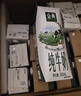 伊利【新鲜日期】金典纯牛奶整箱 250ml*16盒 3.6g乳蛋白 年货礼盒装 实拍图
