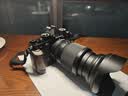 【9成新】尼康 （Nikon） 尼克尔 Z 24-200mm f/4-6.3 VR 全画幅 微单 变焦镜头 尼康镜头 人像/风景/旅游   晒单实拍图