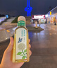农夫山泉东方树叶茉莉花茶500ml*15瓶无糖茶饮料0糖0脂0卡整箱装 实拍图