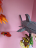 乐高（LEGO）积木玩具 创意三合一 31381凶猛的鲨鱼 8岁+ 男孩女孩生日礼物 实拍图