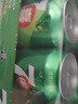 百事可乐七喜7UP 柠檬味 碳酸饮料汽水 330ml*24听胖罐 整箱装 实拍图