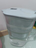 碧然德（BRITA）家用净水壶 滤水壶滤芯 MAXTRA+LE 去水垢专家滤芯 6枚装 实拍图