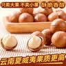 云南特产新货夏威夷果桂圆花生南北干货组合 奶香中小颗粒【净含量500g*1袋】新货推荐 实拍图