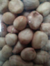 素养生活有机白花生400g 生花生米 白皮花生 花生豆 花生仁 水煮凉拌油炸 实拍图