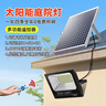 湘哲太阳能照明灯户外庭院灯家用太阳能路灯防水LED投光灯1000W+5米线 实拍图