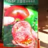 寿禾草莓番茄种子苗绿肩西红柿蔬菜种籽 潍丰贝雷塔草莓番茄种子25粒 实拍图